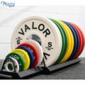 رک صفحه کراسفیت Crossfit plate rack NS6016