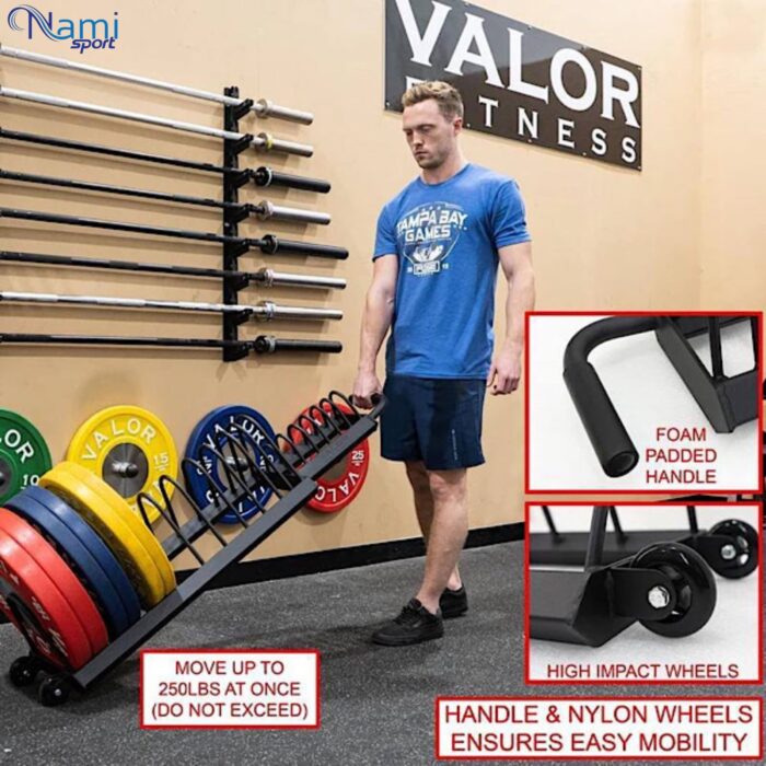 رک صفحه کراسفیت Crossfit plate rack NS6016