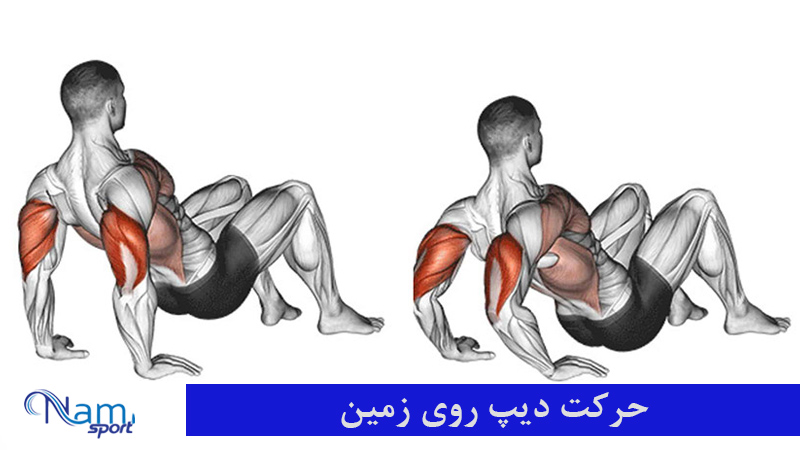 حرکت دیپ روی زمین