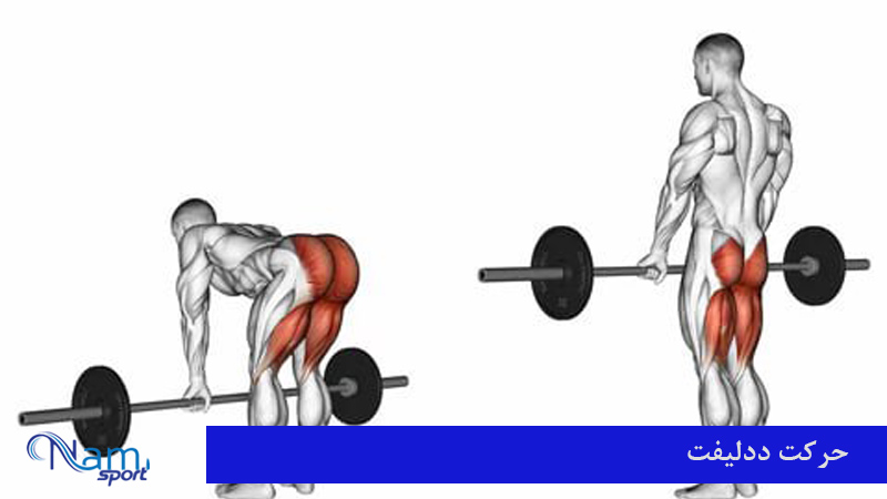 حرکت ددلیفت رومانیایی در بدنسازی