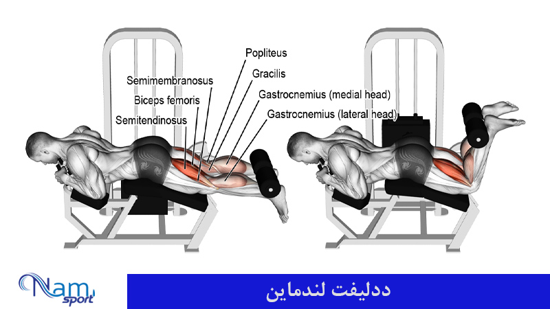 پشت پا خوابیده دستگاه