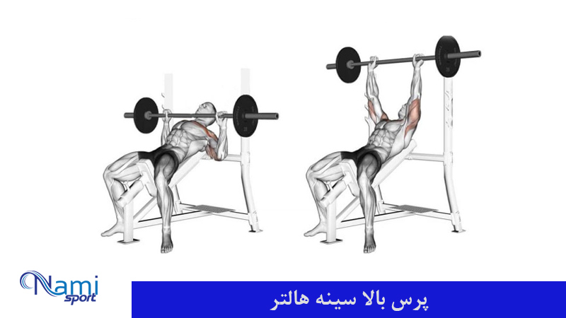 پرس بالا سینه