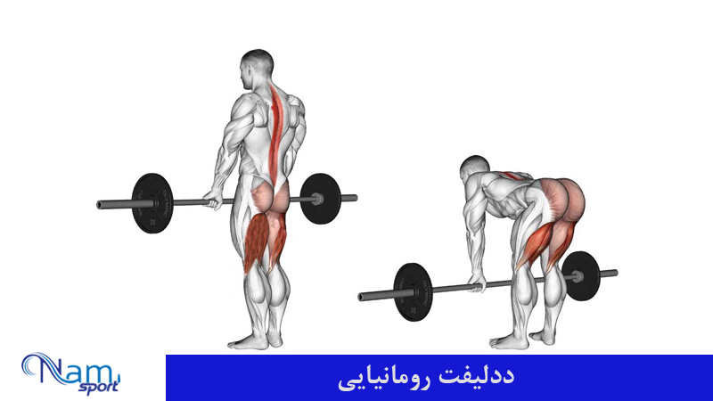 ددلیفت رومانیایی