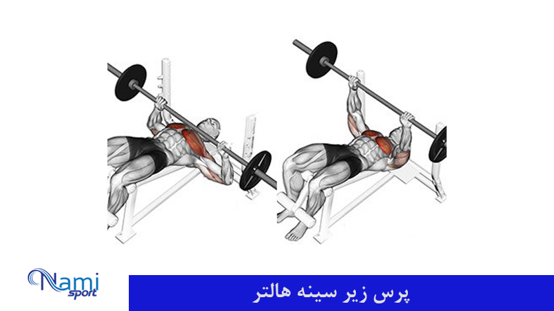 پرس زیر سینه هالتر