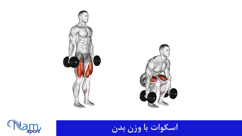 اسکوات با دمبل